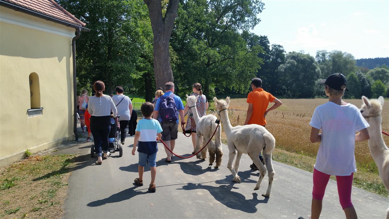 Familienerlebnistag Mitterhof (7)
