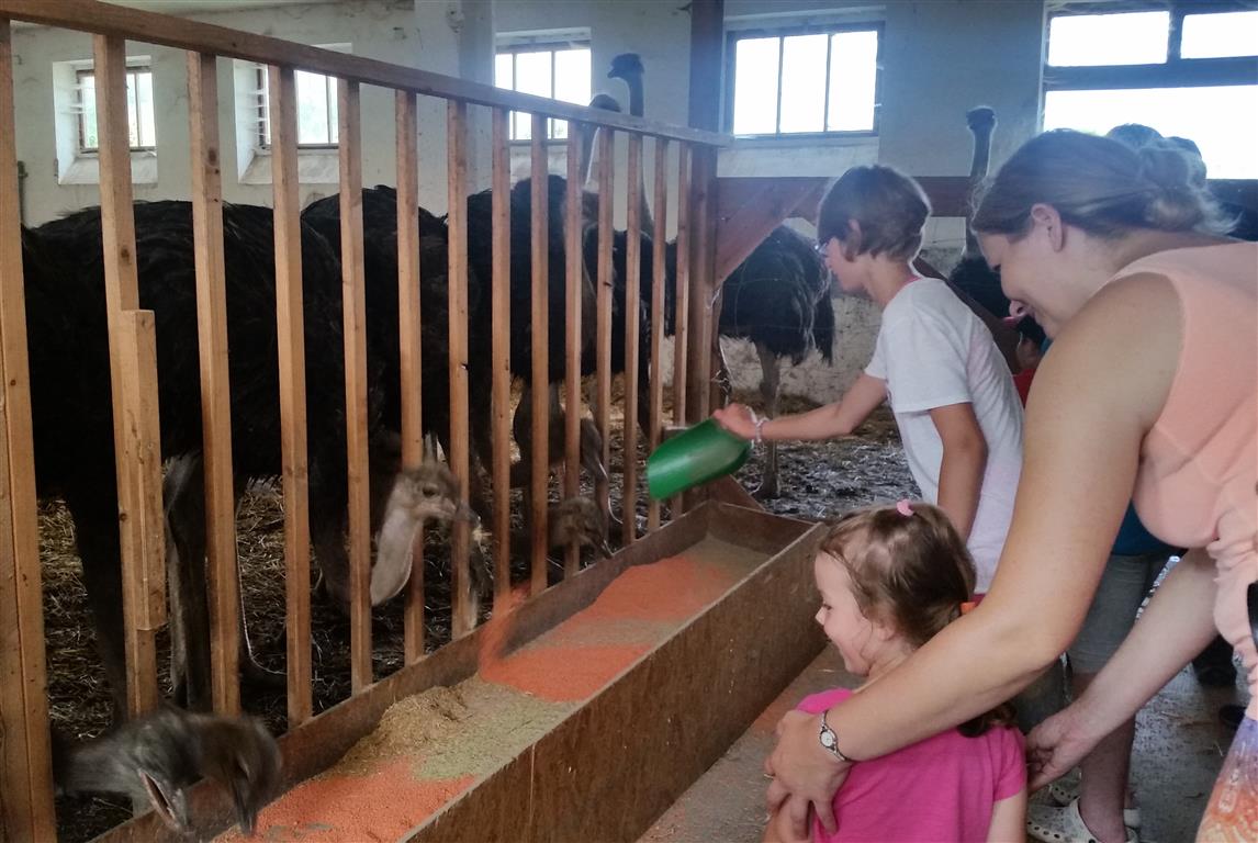 Familienerlebnistag Mitterhof (8)