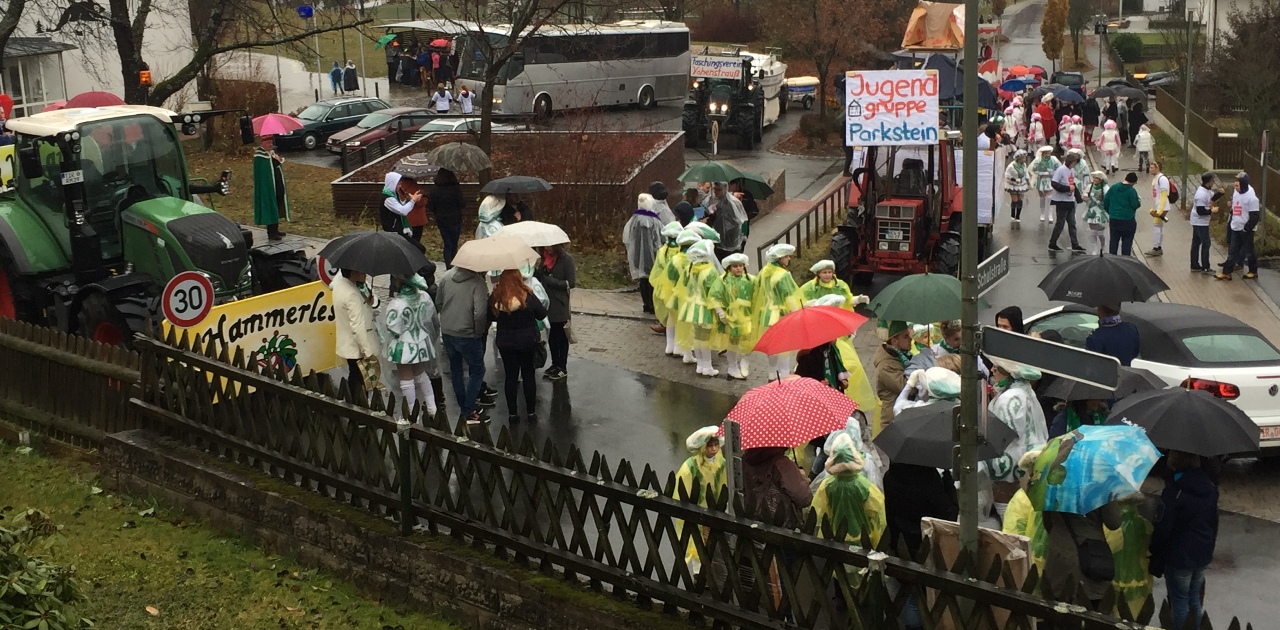 Faschingszug Hammerles 1