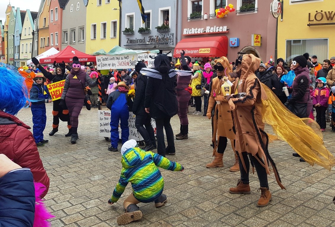 Faschingszug Neustadt 2020 (15)