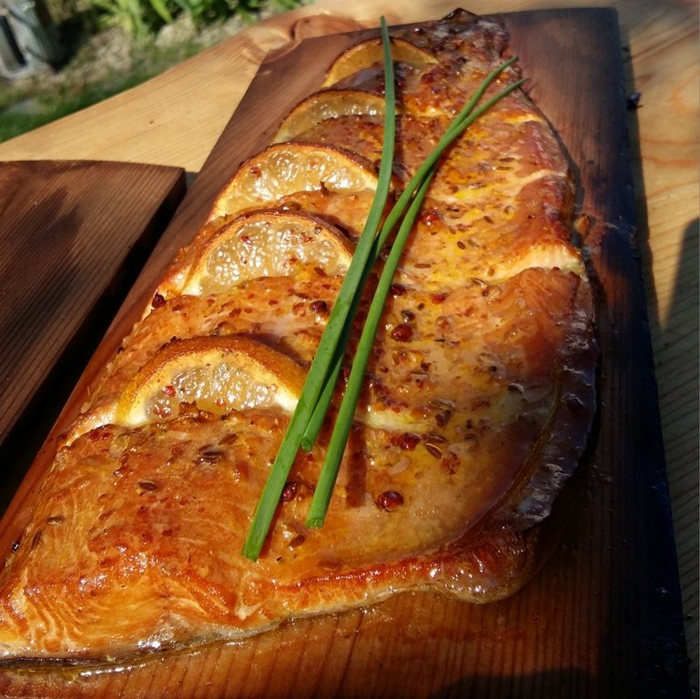 Von Karpfenburger bis zur geräucherten Forelle: Grillkurs für Fischliebhaber