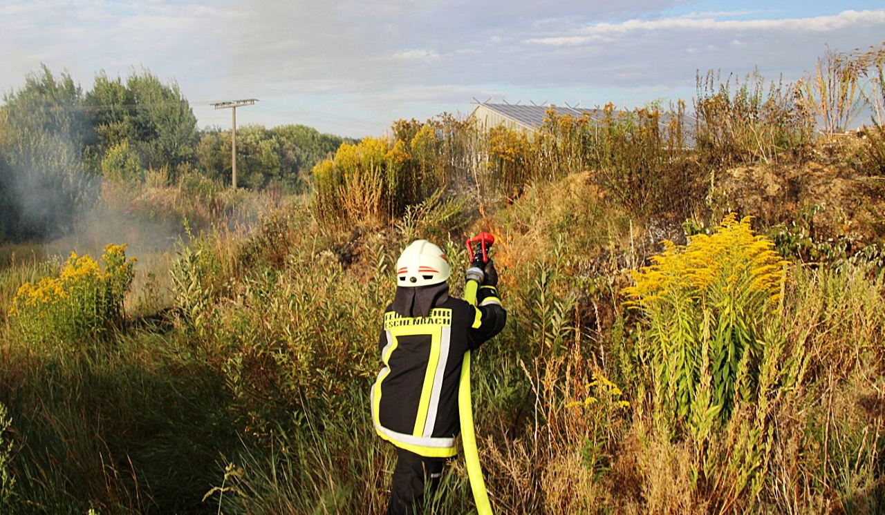 Feuer Eschenbach industriegebiet (1)