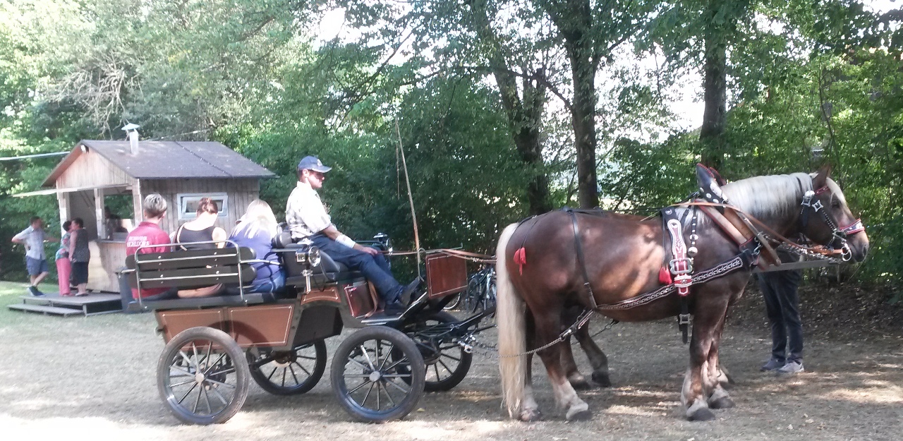 Umweltbewusst vom Dorffest durch Döllnitz