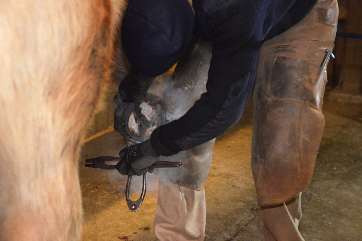 Flurin Bärlocher Hufschmied (11)