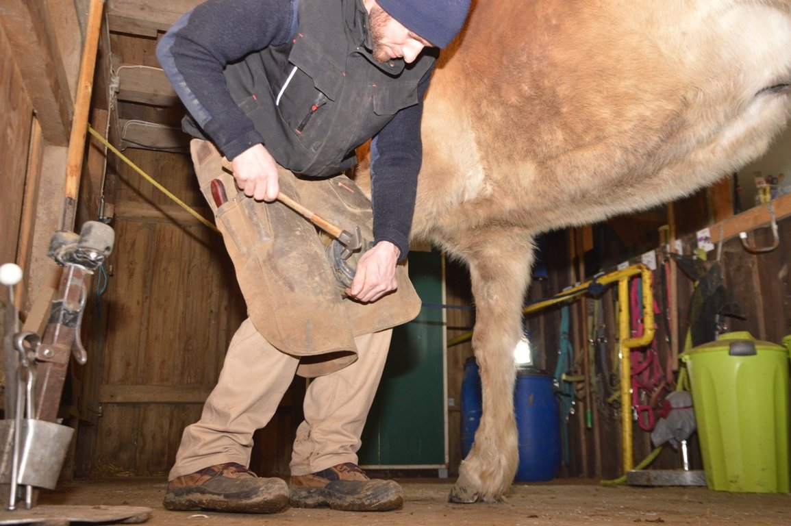 Flurin Bärlocher Hufschmied (12)