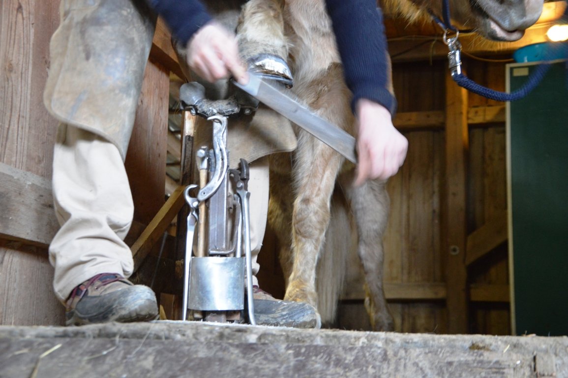 Flurin Bärlocher Hufschmied (4)