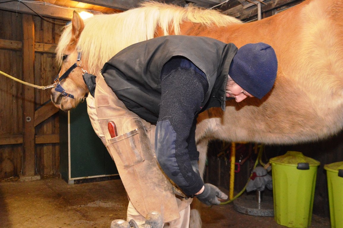 Flurin Bärlocher Hufschmied (6)