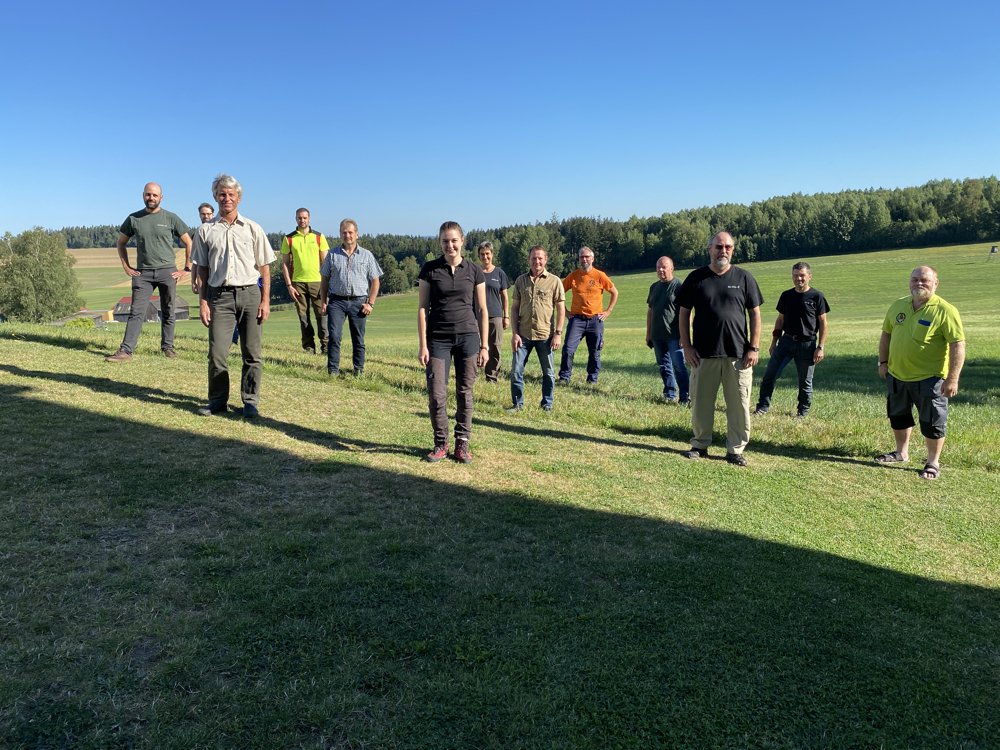 Forstwirtschaft Letzau Wald