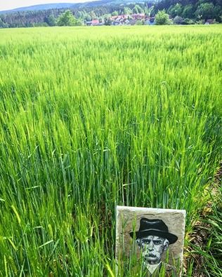 Francesco_in_Oberpfälzer_Kornfeld