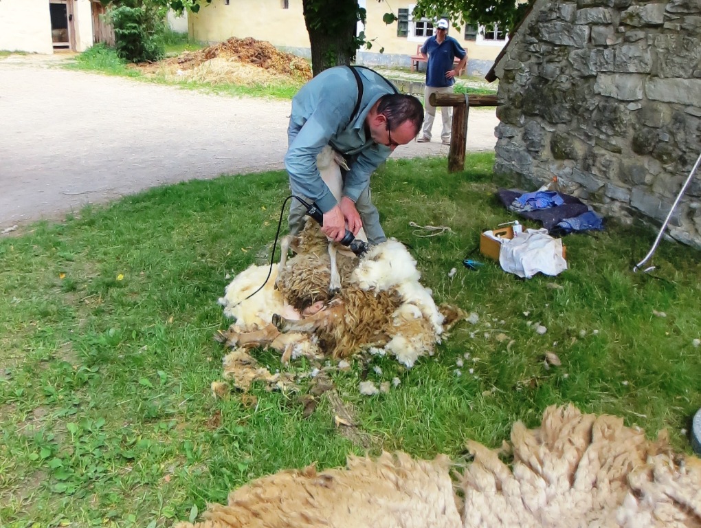 Familientag im Freilandmuseum: 10 Jahre Umweltbildung.Bayern