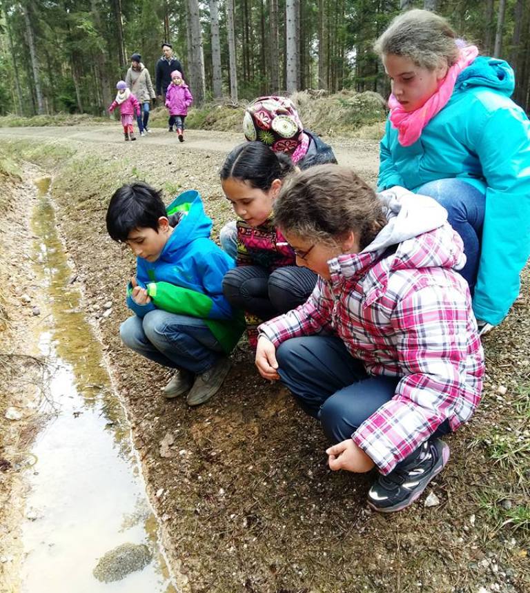 Pressather Fähnlein, Osterwanderung, Froschlaich