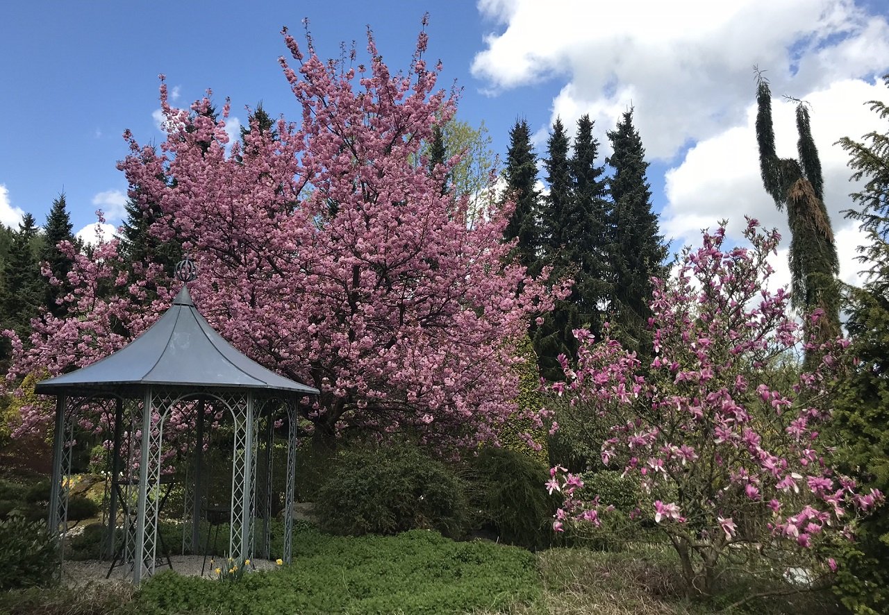 Garten Punzmann GmbH Advertorial Tag der offenen Tür 05.2019 Bild Felix Punzmann3