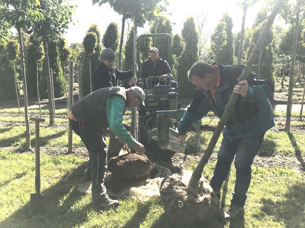 Garten Punzmann GmbH Bilder fürs Advertorial (10)