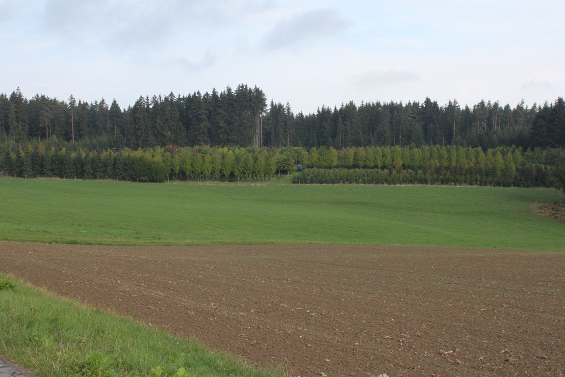 Garten Punzmann GmbH Bilder fürs Advertorial (5)