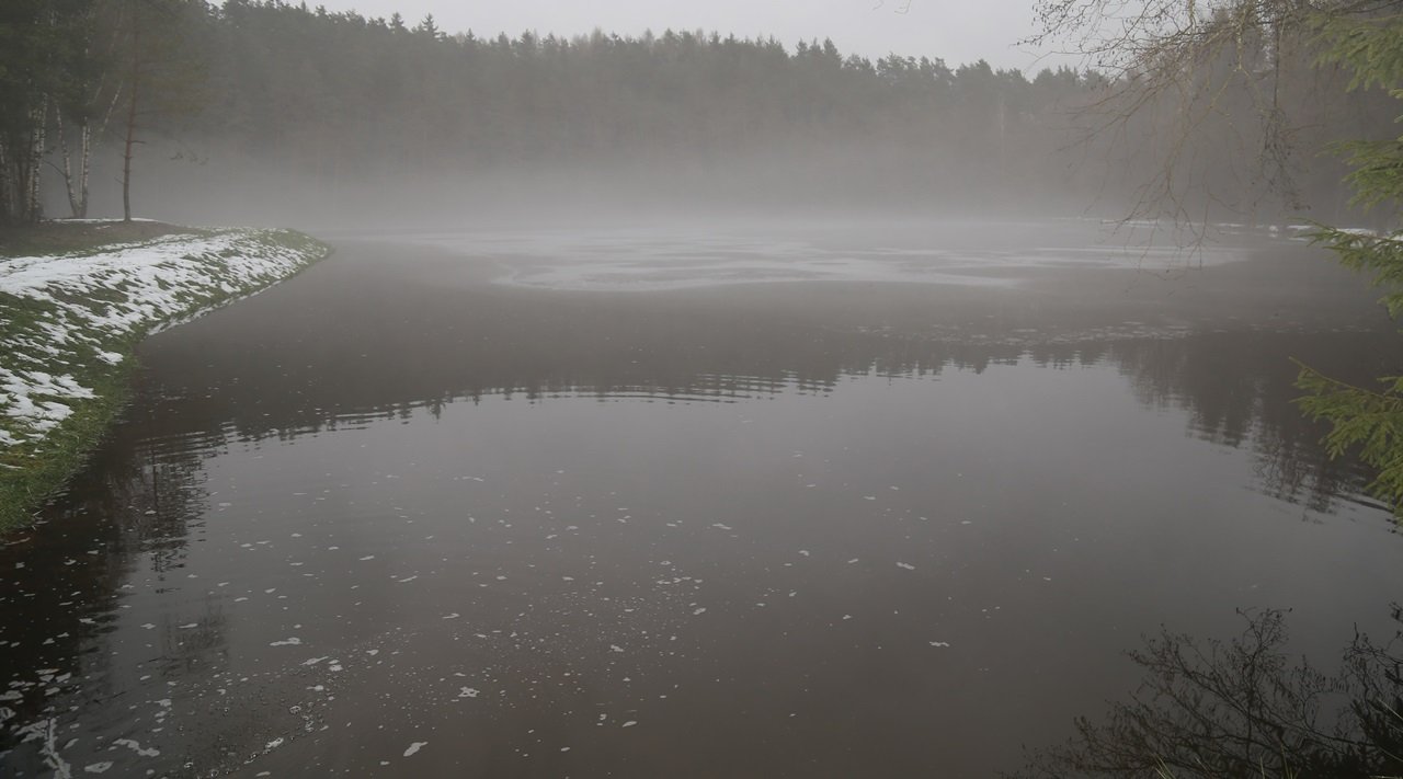 Gemeindeweiher Parkstein Weiher Fischerverband Fisch Fischen Fischereiverein