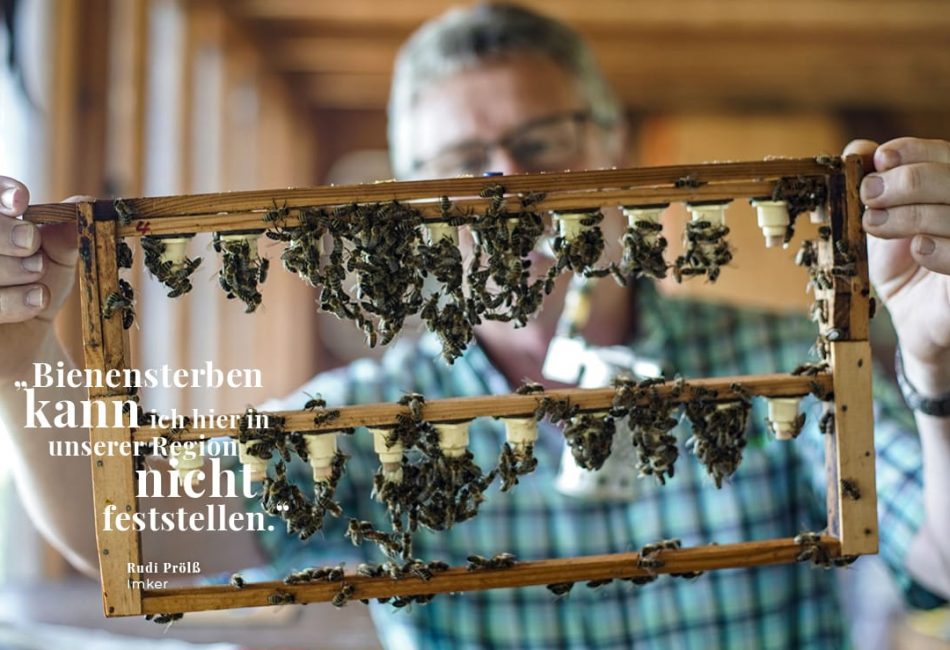 Der Bienenflüsterer
