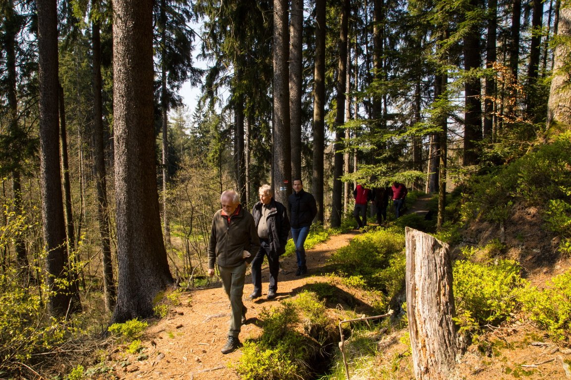 Abgeordnete auf verschlungenen Pfaden: Zu Gast im Steinwald