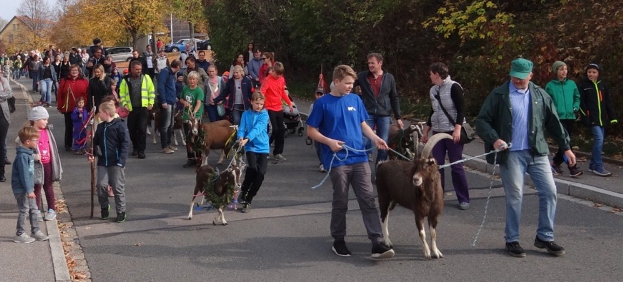 Goaßabtrieb Luhe-Wildenau 2018 2