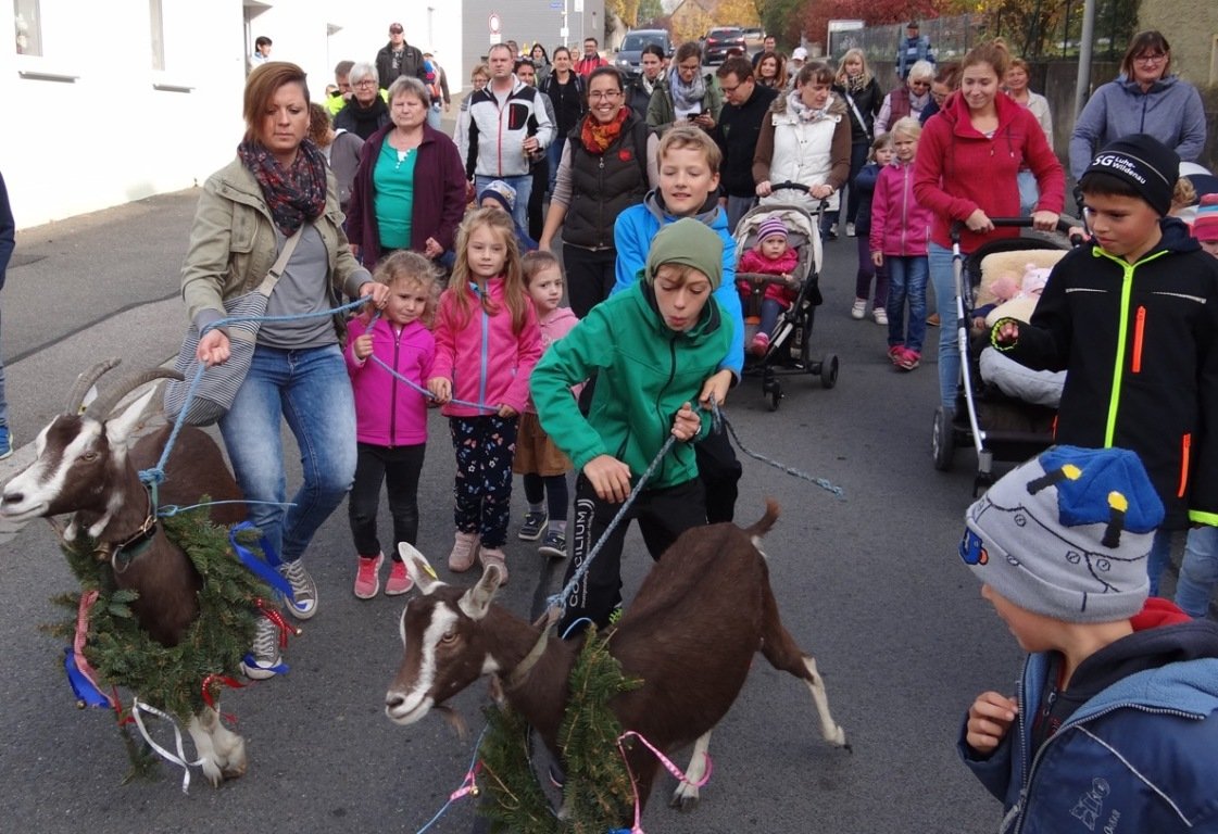 Goaßabtrieb Luhe-Wildenau 2018 3