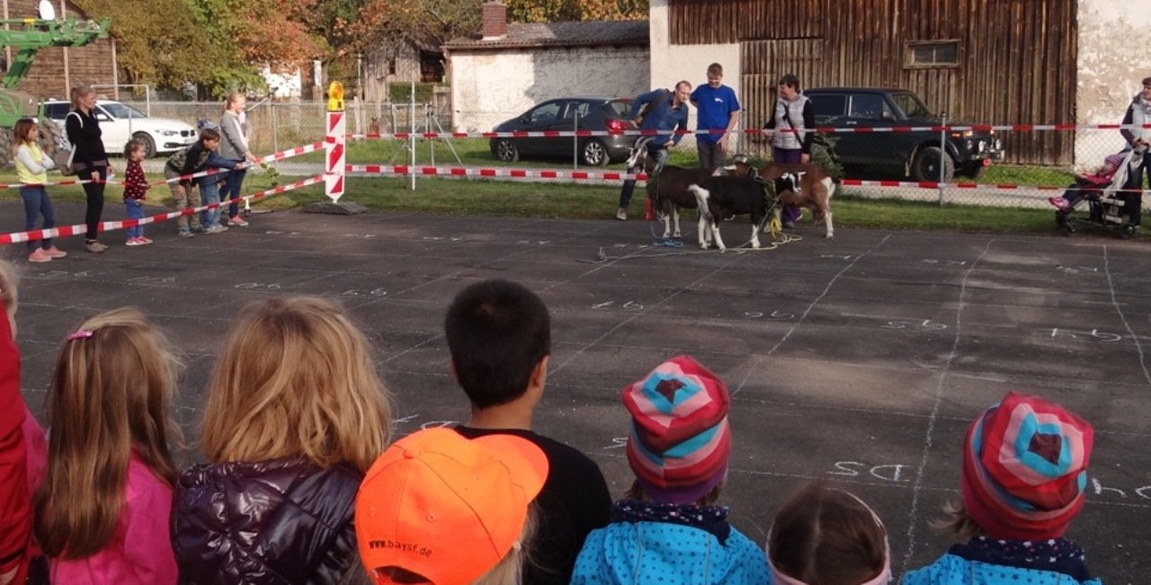 Goaßabtrieb Luhe-Wildenau 2018 9