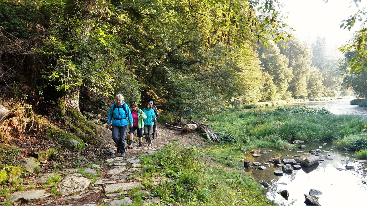 Goldsteig 2018 Ilztal OWV Moosbach