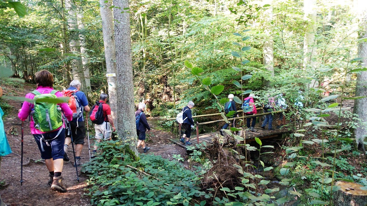 Goldsteig 2018 Ilztal OWV Moosbach