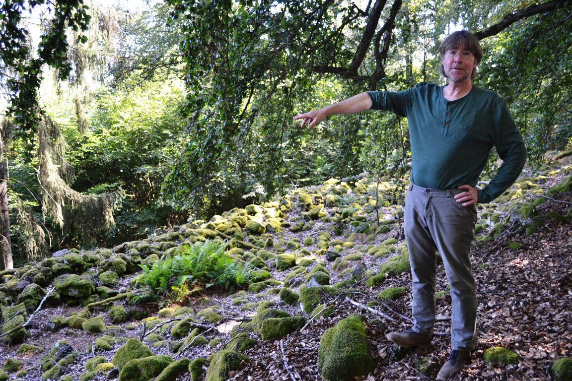 Münzen, Scherben und ein 3.000 Jahre altes Buchenblatt