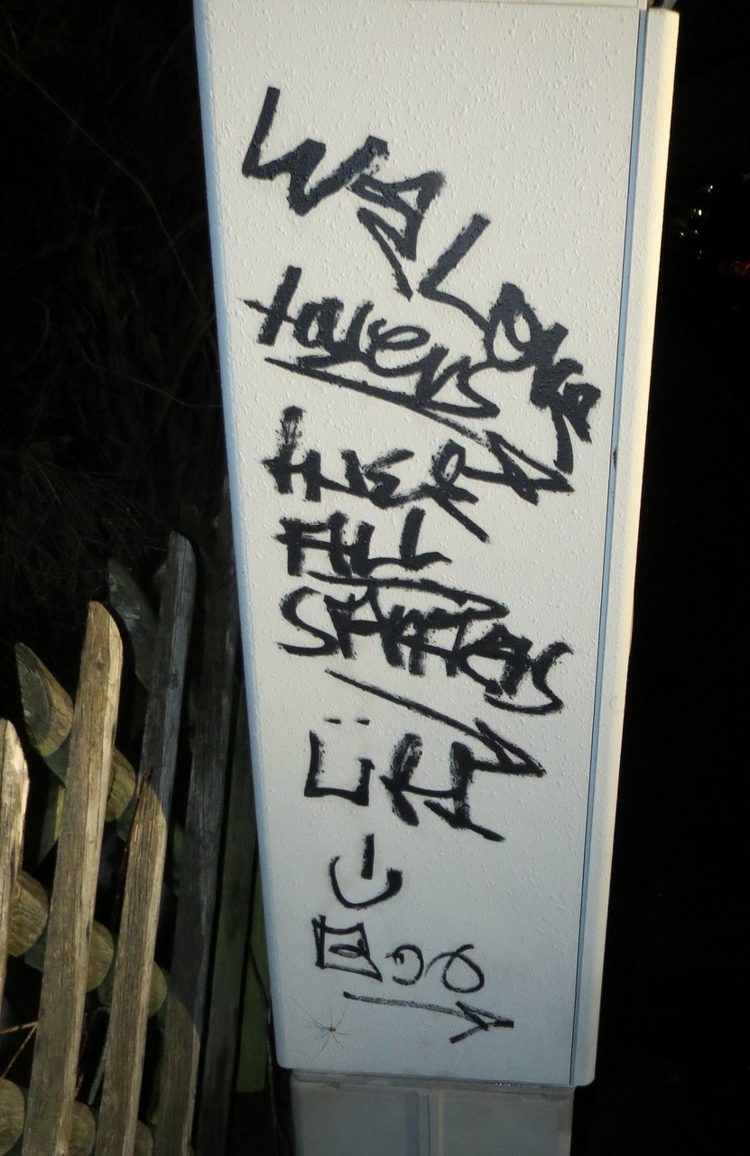 Graffiti Sprayer Grafenwöhr Polizei Täter Schmiererei Bilder Polizei Eschenbach (1)