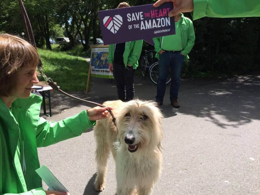 Greenpeace Weiden, Save the Heart of Amazonas