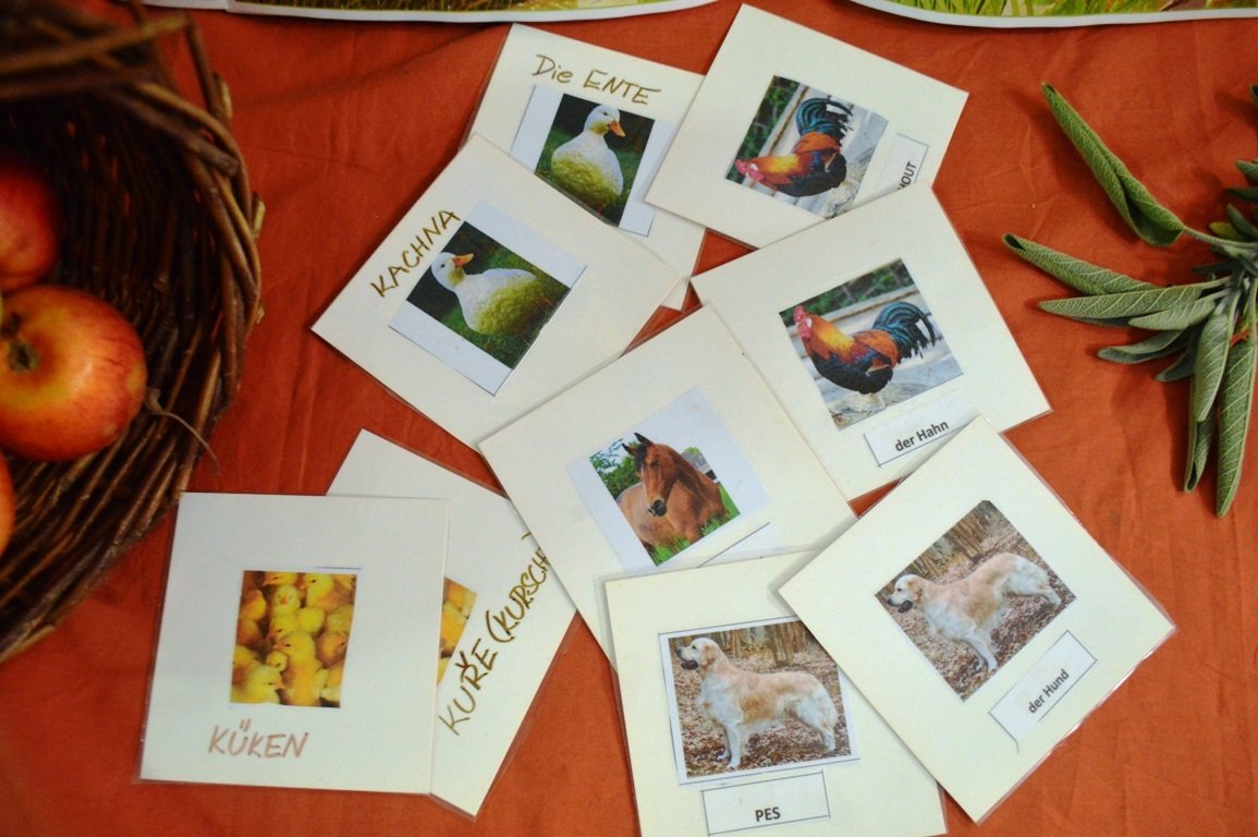 Grundschule Schwarzenbach Grundschüler lernen Tschechisch! Tiermemory2