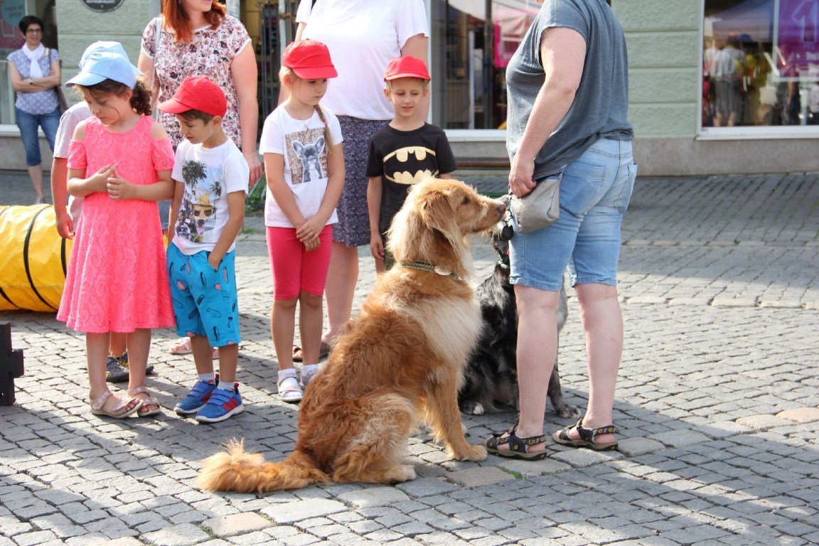 Gute Fee Weiden Aktionstag (4)