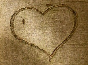 Herz Ritzen Baumrinde Liebe Natur Baum 2