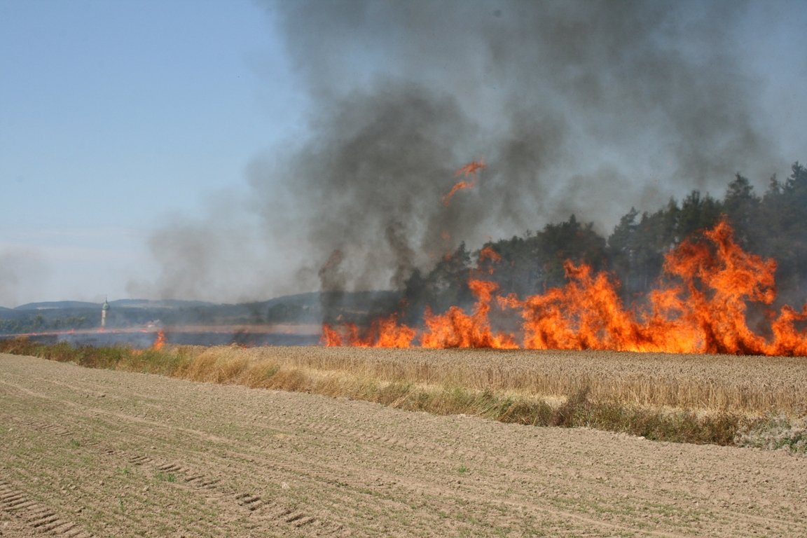 Hitzebrand Hitze Feuer Feld 1