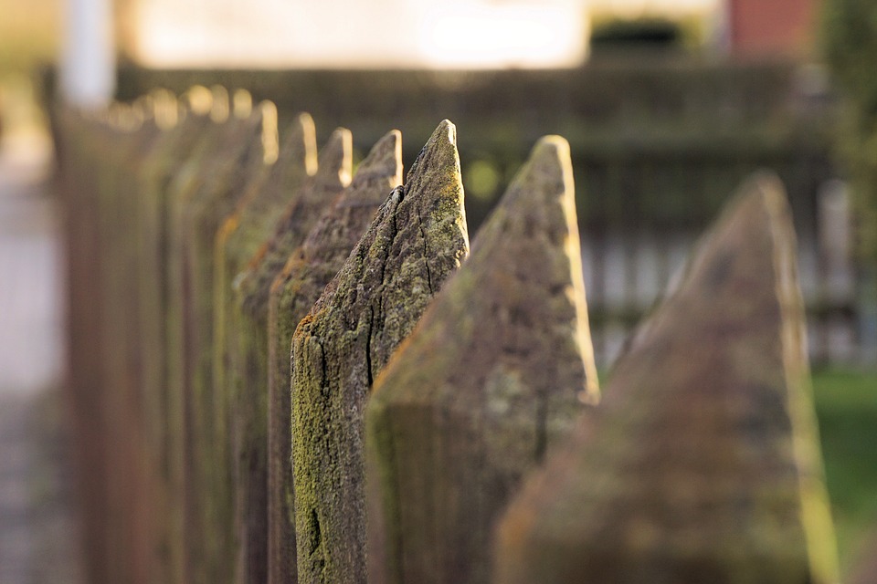Holzlatte, Gartenzaun, Lattenzaun,