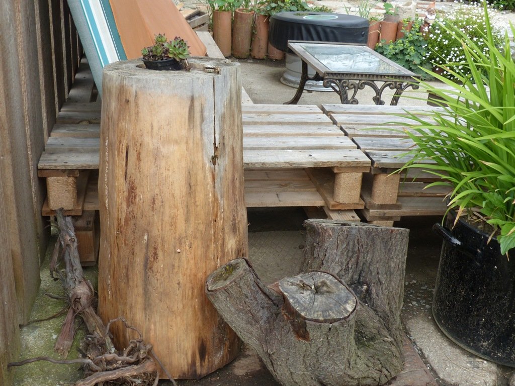 Hunge Meisen in Döllnitz (3)