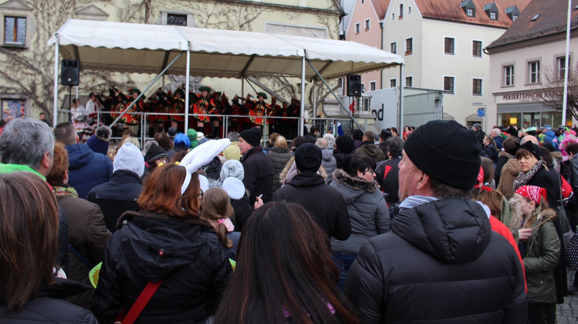 Faschingstreiben Narrhalla Weiden 2017