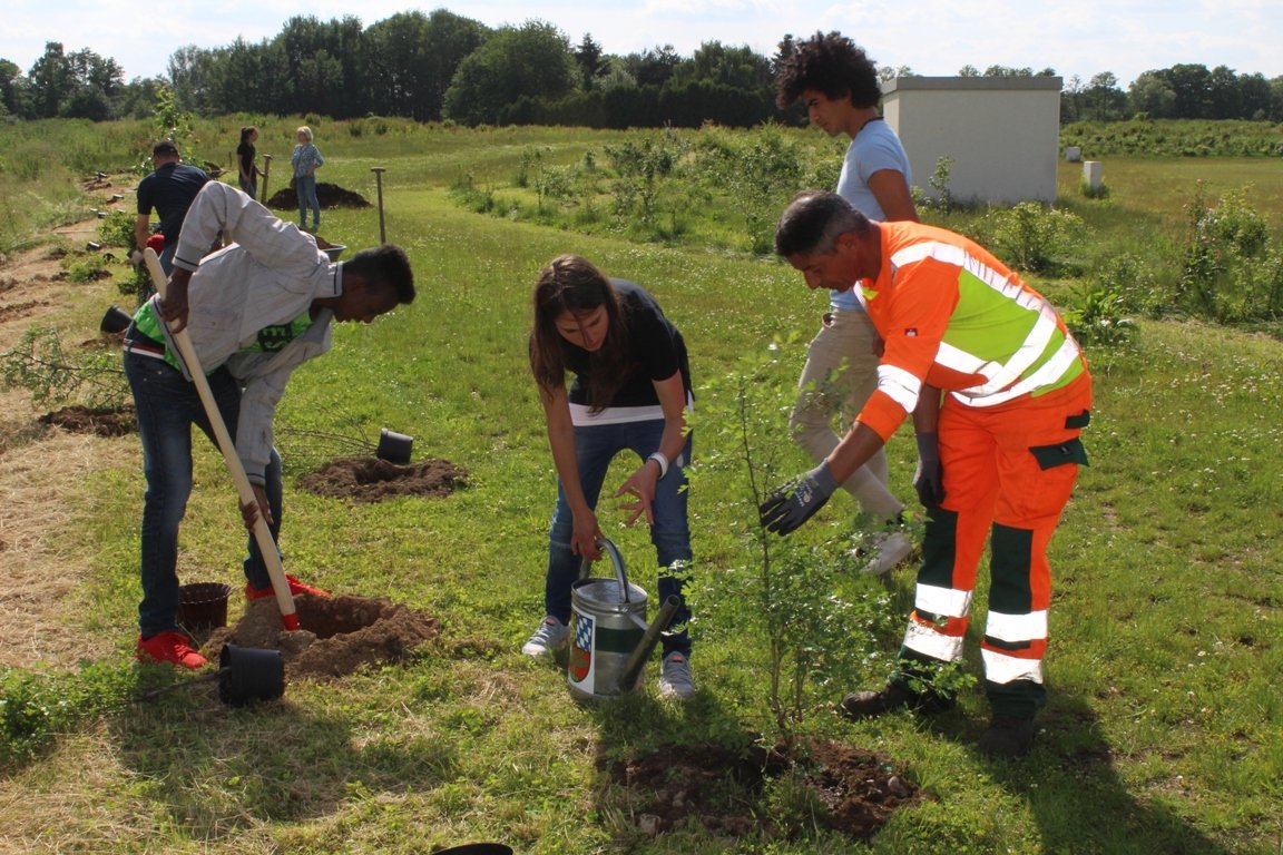 Rotaract Baumpflanzaktion 2016 Weiden
