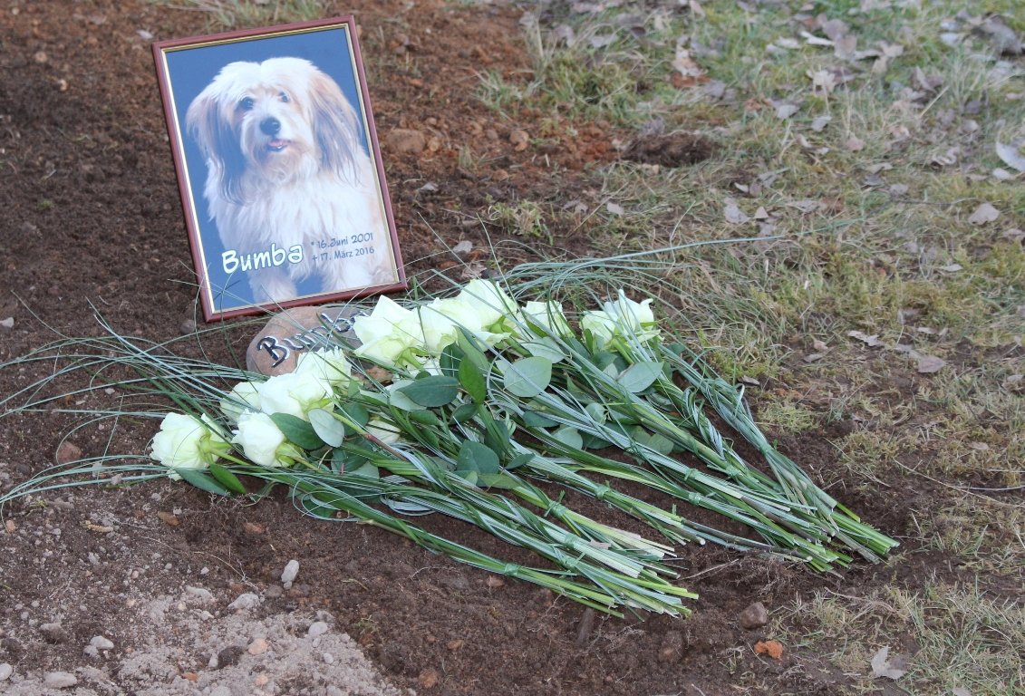 Tierbeerdigung, Tierfriedhof Weiden