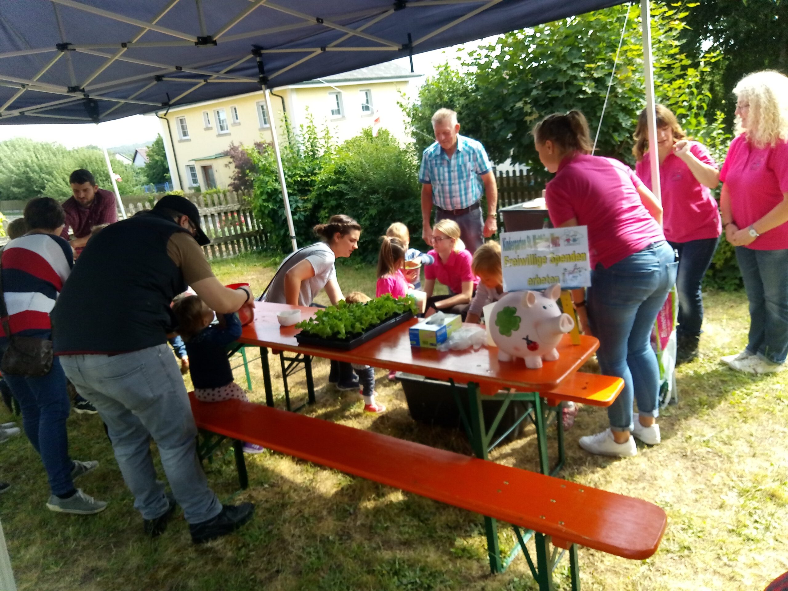 Vom Wurzelkind zur Pusteblume
