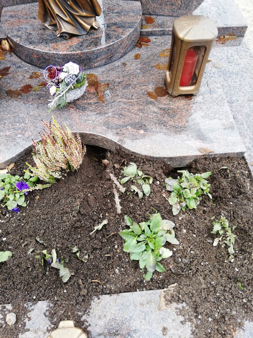 IMG_20200227_142925_resized_20200227_024009367