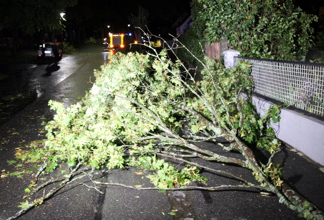 Unwetter Fabienne Baum umgestürzt Altenheim