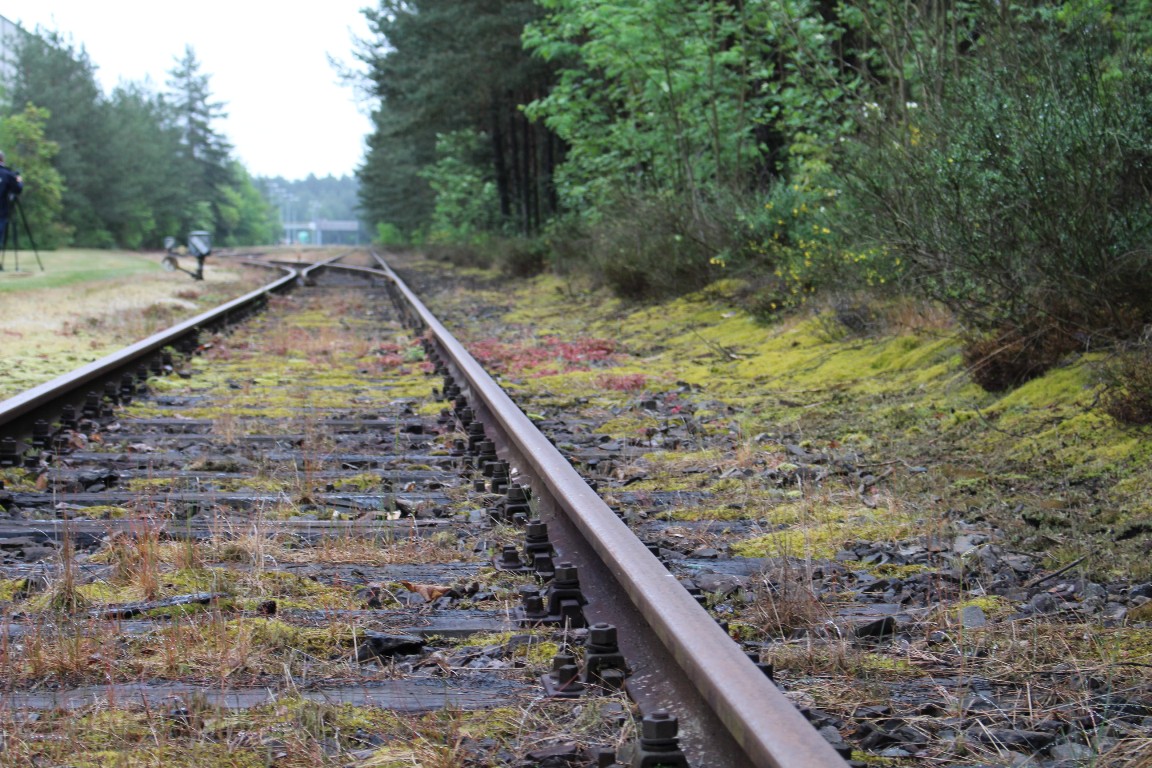 Pilkington GVZ Weiherhammer Weiden