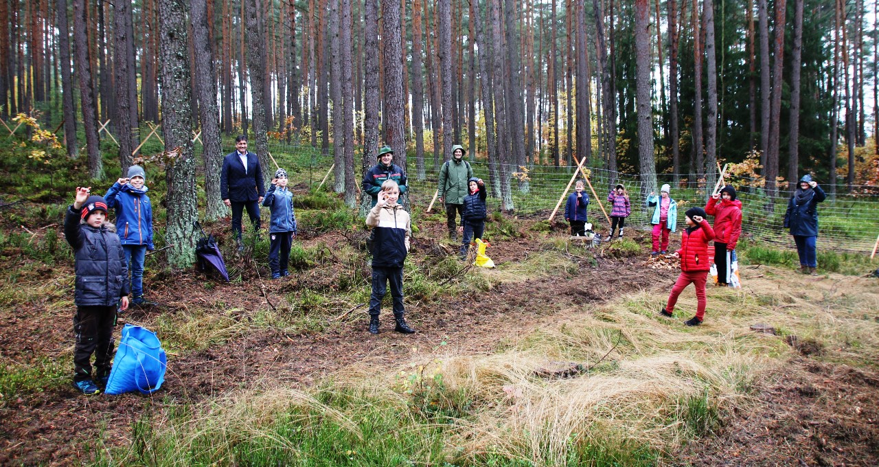 Eichelsaataktion Projekt Wald Grafenwöhr