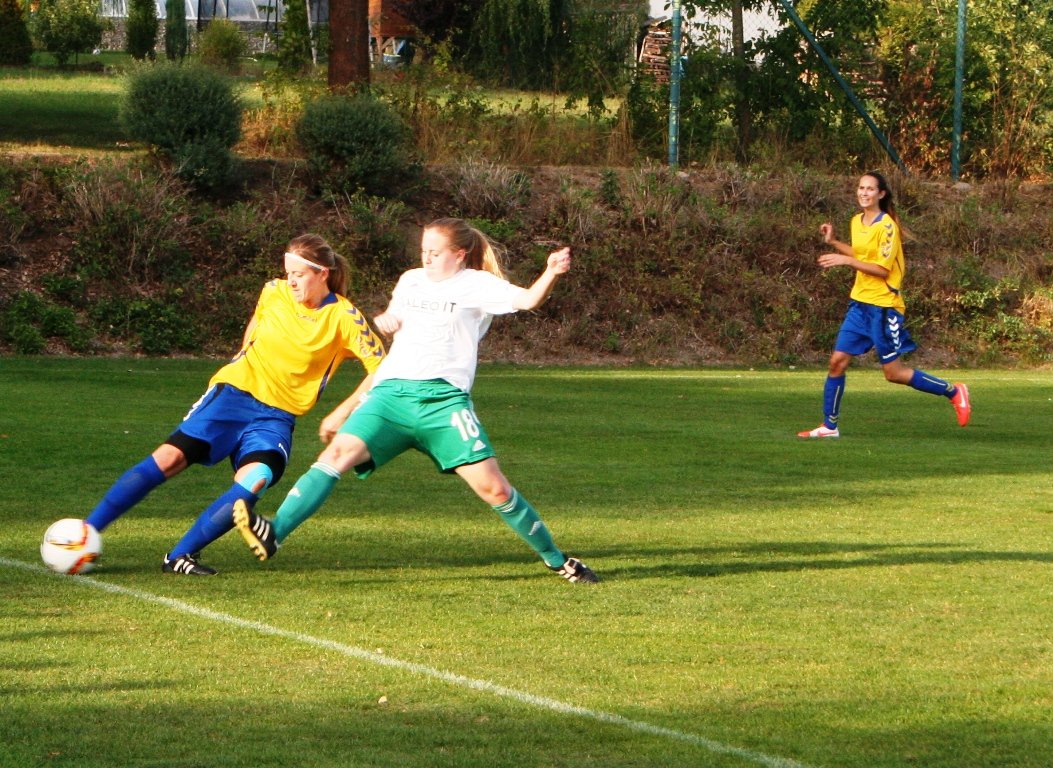 TSV Neudorf Frauen gegen SV Frensdorf
