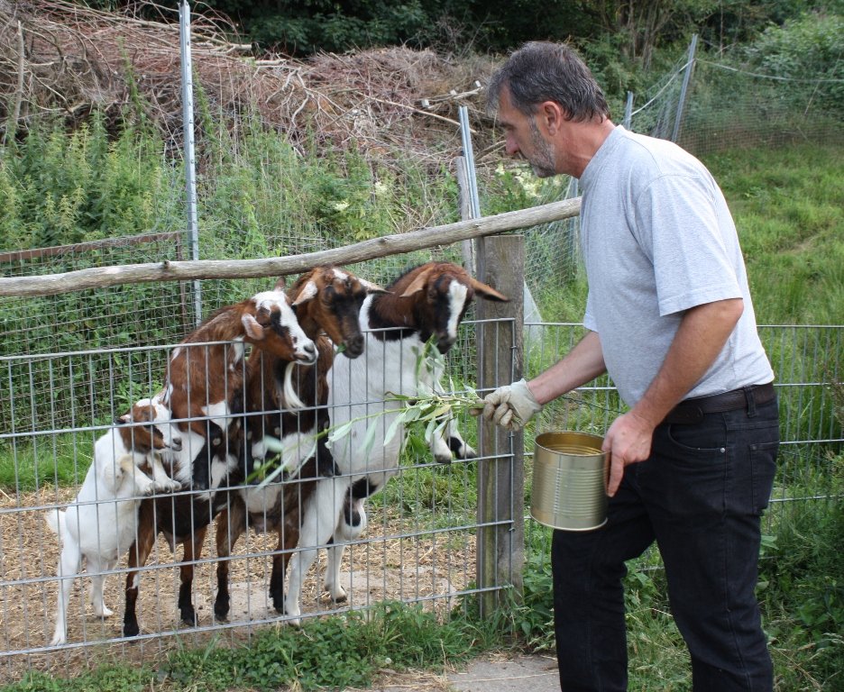 Tierpark, Hase, Schwein, Pfau, Emu, Tiere, Tierschutz, Massentierhaltung, Hof, vegan, vegetarisch