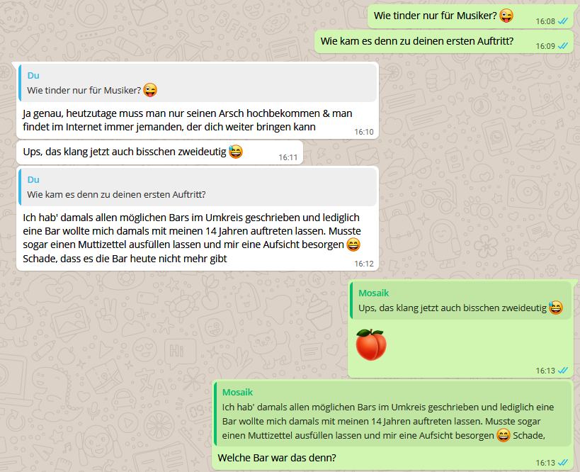 Interview WhatsApp Konstantin Franz Mosaik Rapper Teil1 (6)