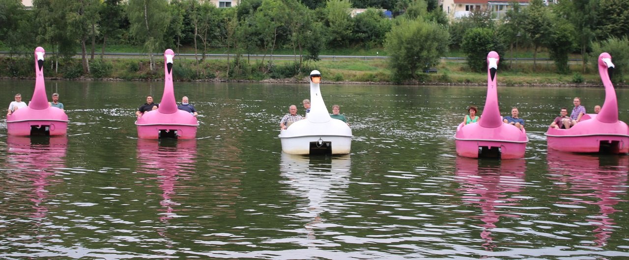 Jungfernfahrt für Flamingos und Schwäne Rußweiher Eschenbach Bild Stefan Neidl