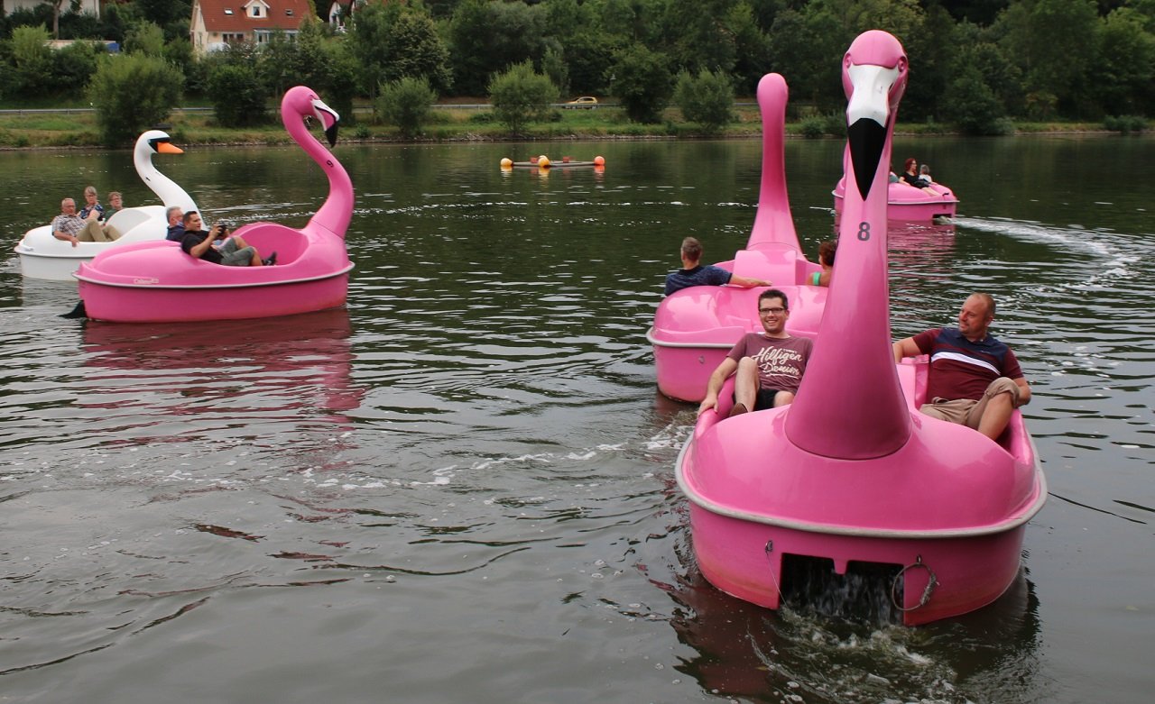 Jungfernfahrt für Flamingos und Schwäne Rußweiher Eschenbach Bild Stefan Neidl1