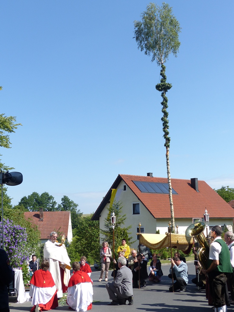 Kannestag_Woppenhof_uKannesbaum22Juni2014_ (1)