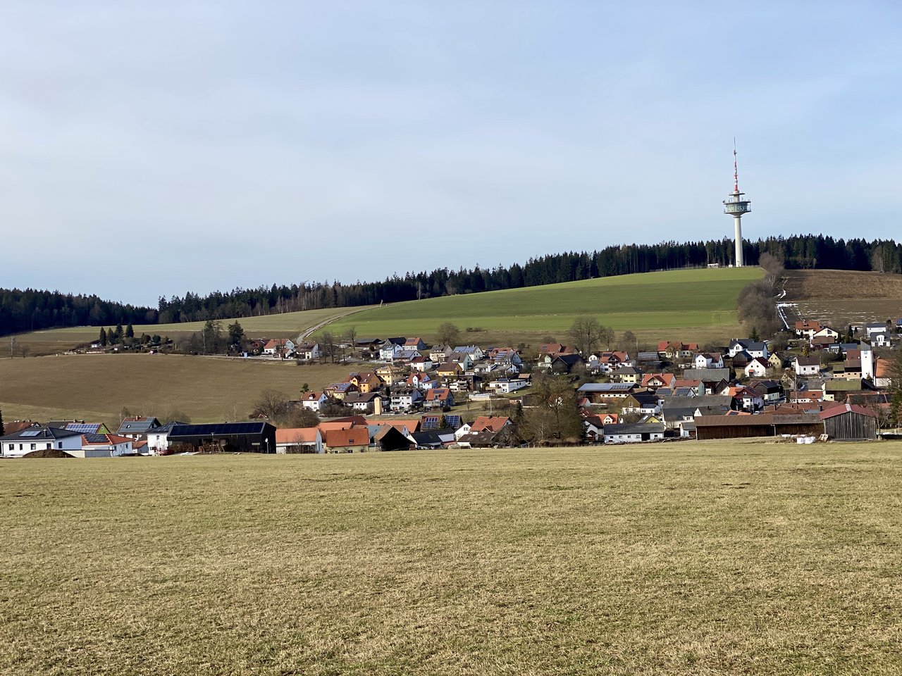 "Gärten des Grauens": Neues Baugebiet verbietet Schottergärten